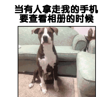 动物搞笑微信表情包 草泥马亮了